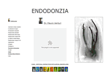 Tablet Screenshot of endodonziamauroventuri.it